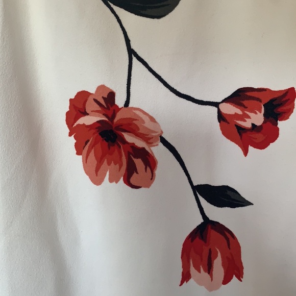 Because I have too many clothes 💀 - Picture 4 of 4